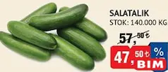 SALATALIK KG